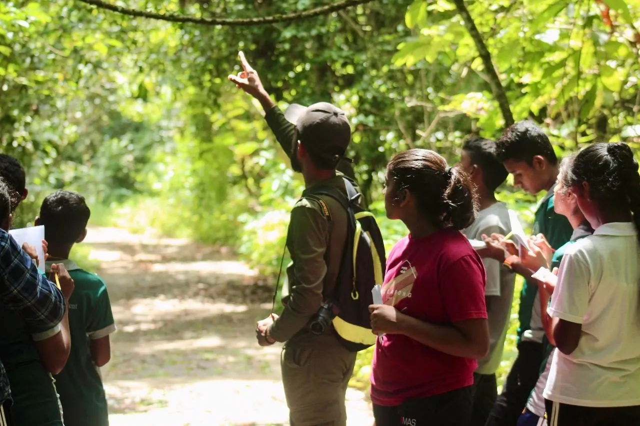 Nayana Pradeep pointing up into the rainforest canopy as students take notes.