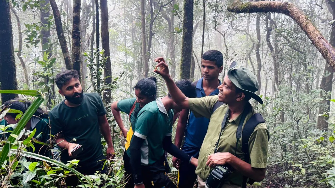 Nayana Pradeep showing a plant to students in the misty rainforest.