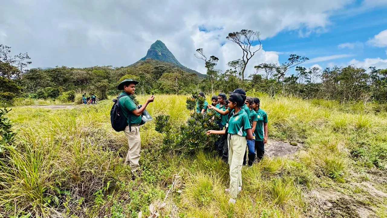 Nayana Pradeep showing students a plant in the grasslands, with Sri Pada peak behind.