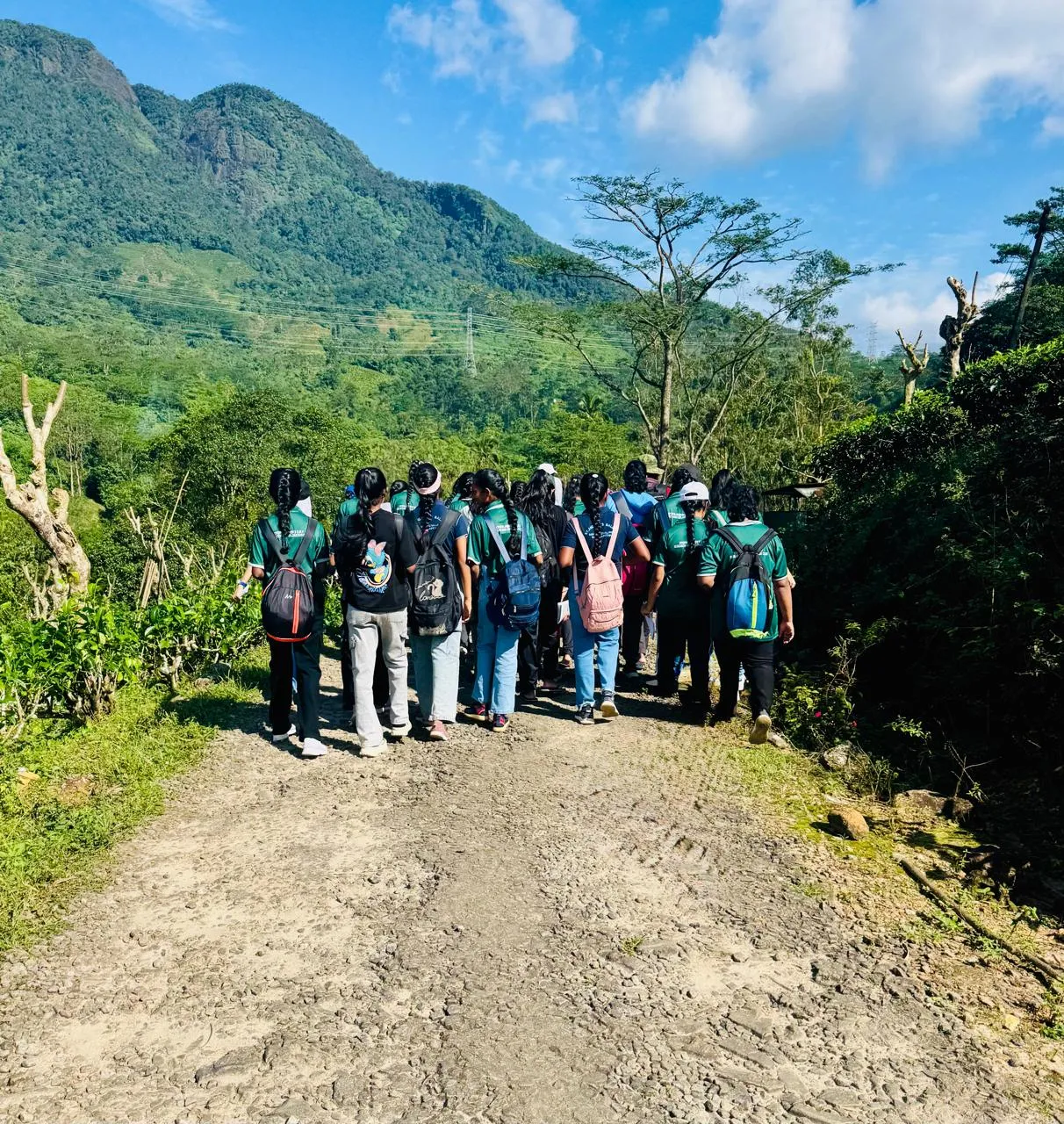 Students walking a trail toward forested mountains under a blue sky.