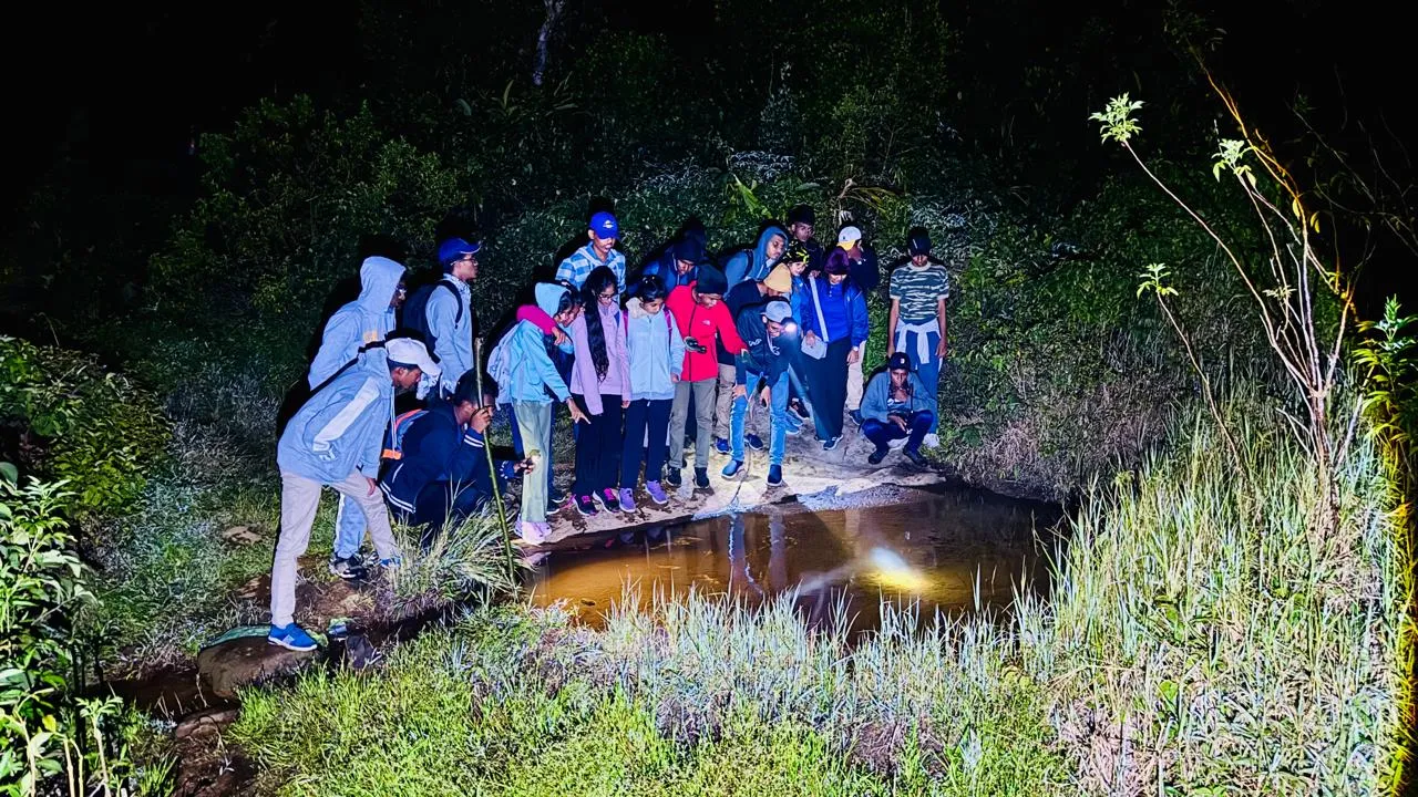 Students observing a forest pool by torchlight during a night field study.