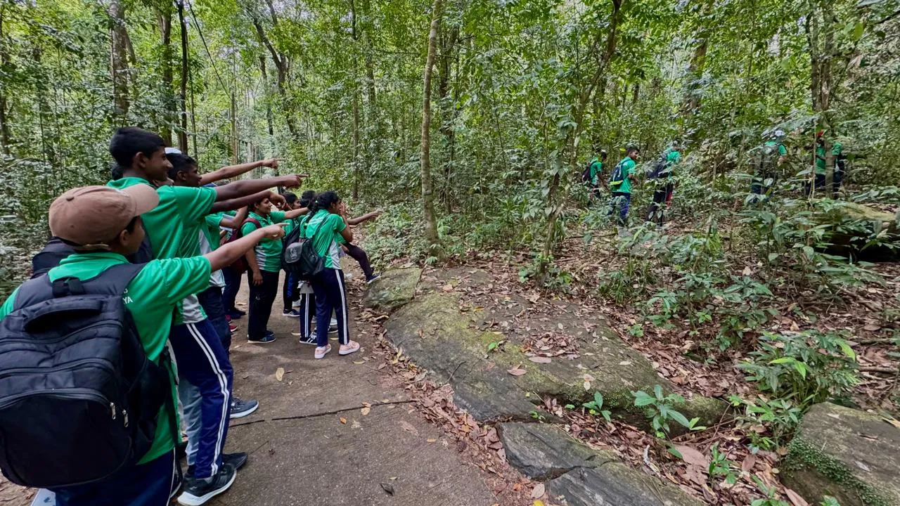 Students in green uniforms exploring a forest trail and pointing into the trees.