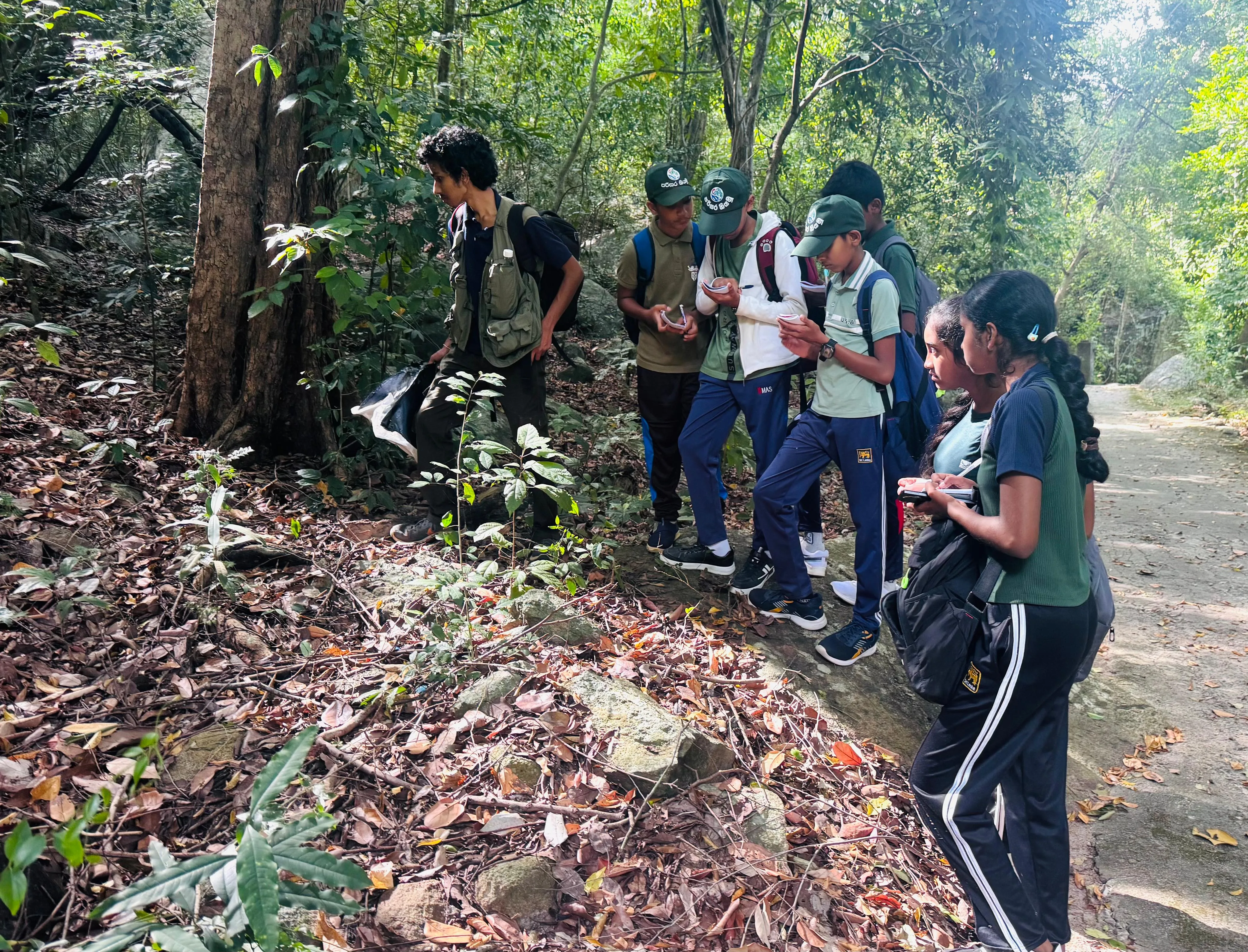 Students taking field notes beside plants along the forest trail.