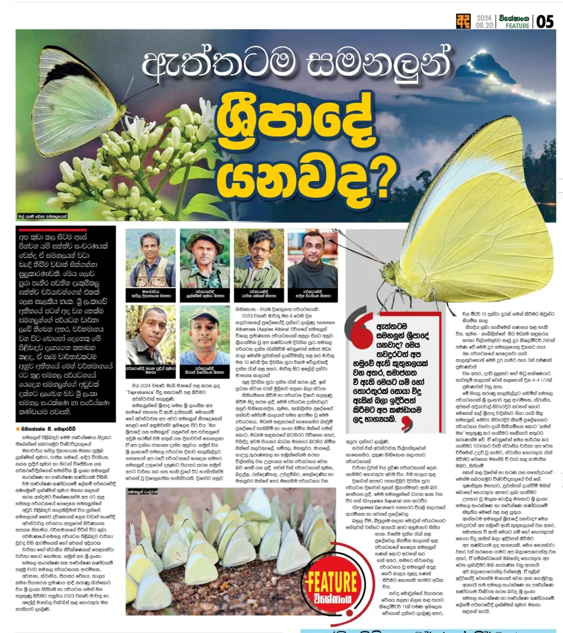 Full-page Sinhala newspaper feature in Ada (20 August 2024) about butterfly migration research at Sri Pada, with photographs of the research team and butterflies.