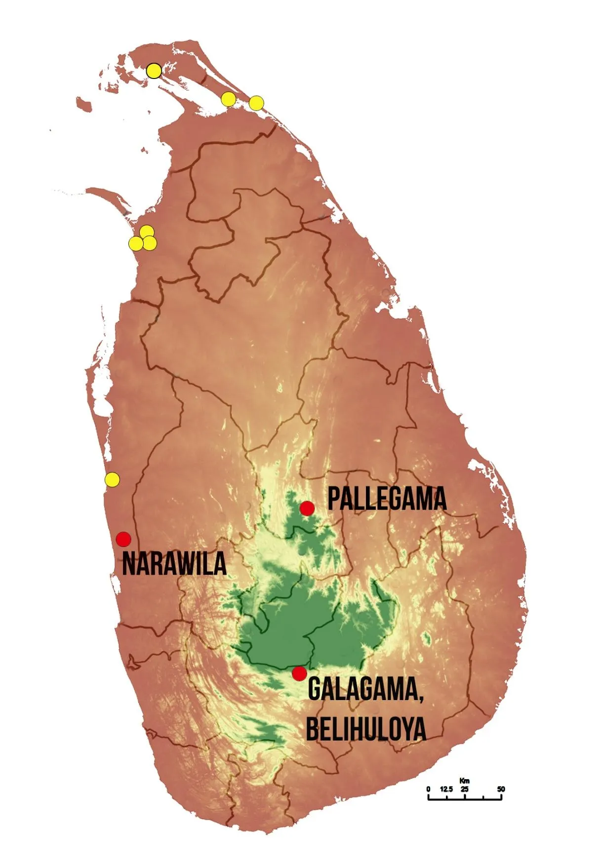 Map of Sri Lanka marking Clouded Silverline records: historical locations in the north (yellow) and the newly reported locations at Pallegama, Narawila and Galagama, Belihuloya (red).