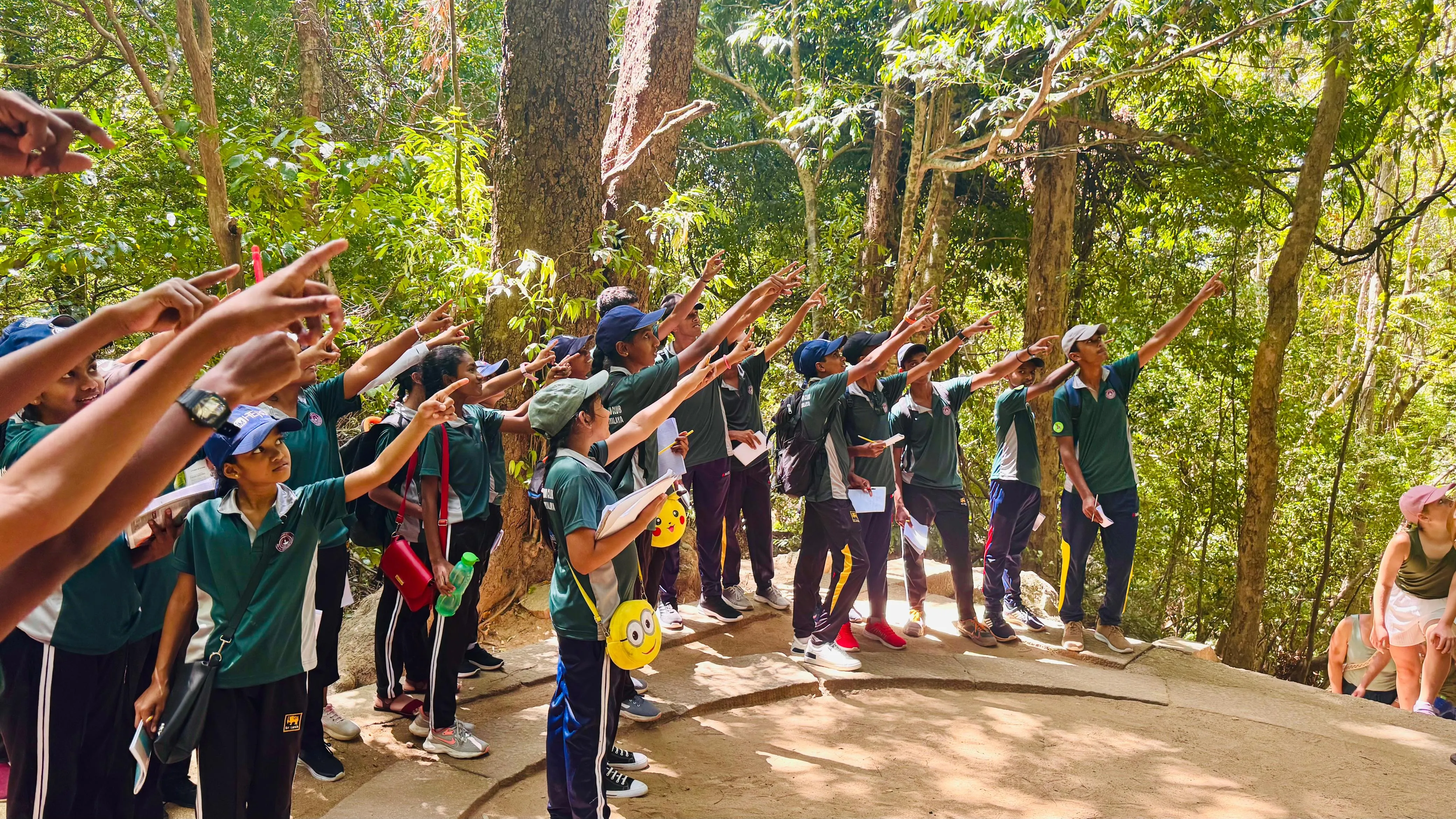 Students of Kelanigama Maha Vidyalaya pointing up into the forest canopy during the field trip at Ritigala.