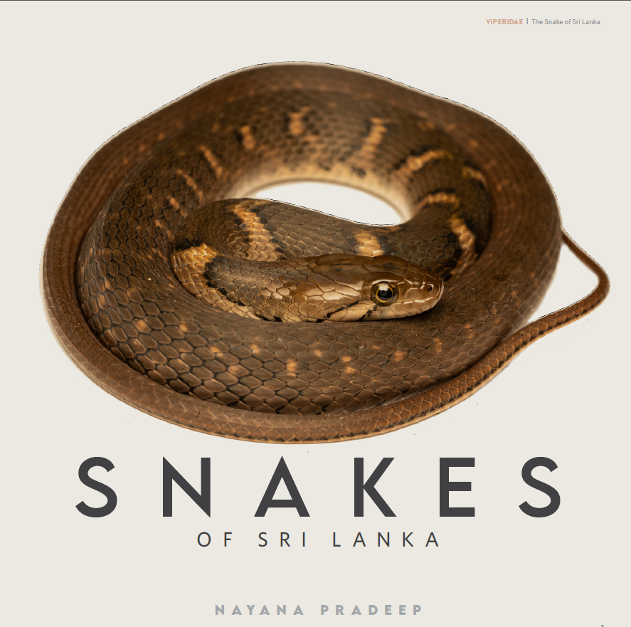 Cover of the forthcoming book Snakes of Sri Lanka by Nayana Pradeep.
